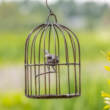Vogelkooi